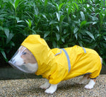 Corgi dog raincoat