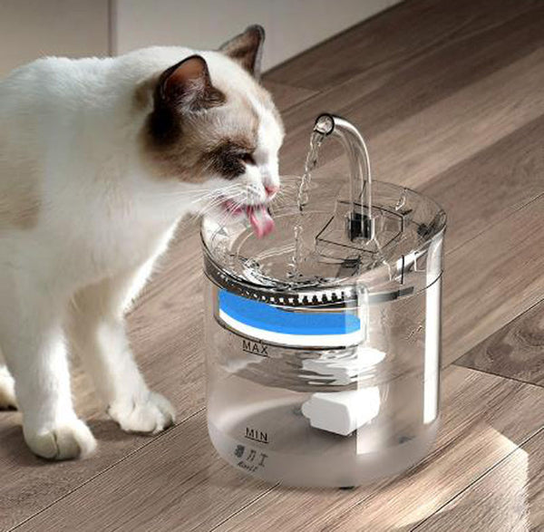 Pet water dispenser automatic circulation filter cat water dispenser smart pet water feeder flowing water kitten