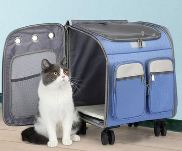 New pet trolley case going out portable cat backpack shoulders large-capacity breathable foldable portable cat bag