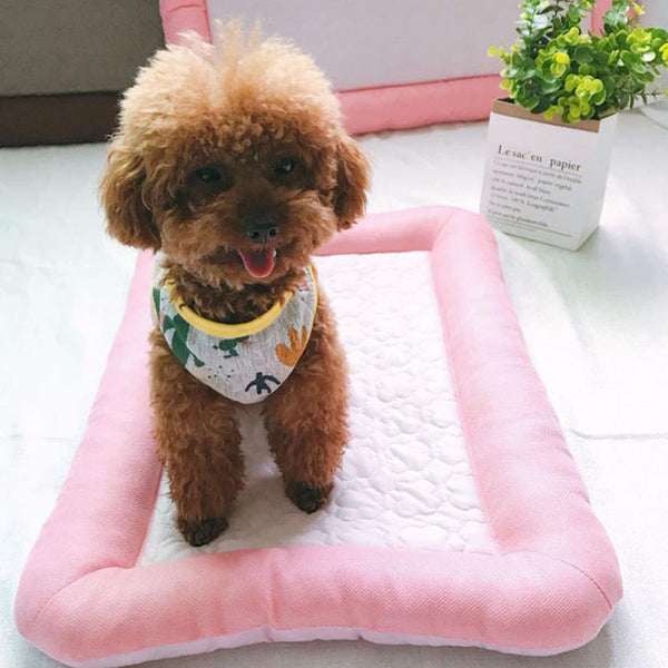 Summer pet mat