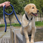 Large dog walking rope