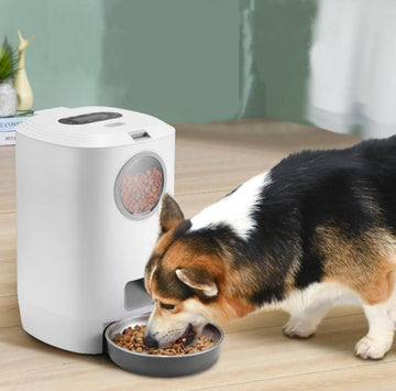 Intelligent timing and quantitative feeder for pets