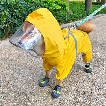 Shiba inu dog raincoat