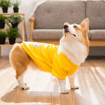 Vêtements Corgi automne et hiver