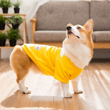 Ropa Corgi otoño e invierno