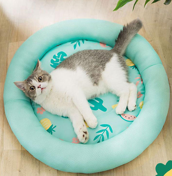 Round cats and dogs four seasons thin summer breathable cool nest