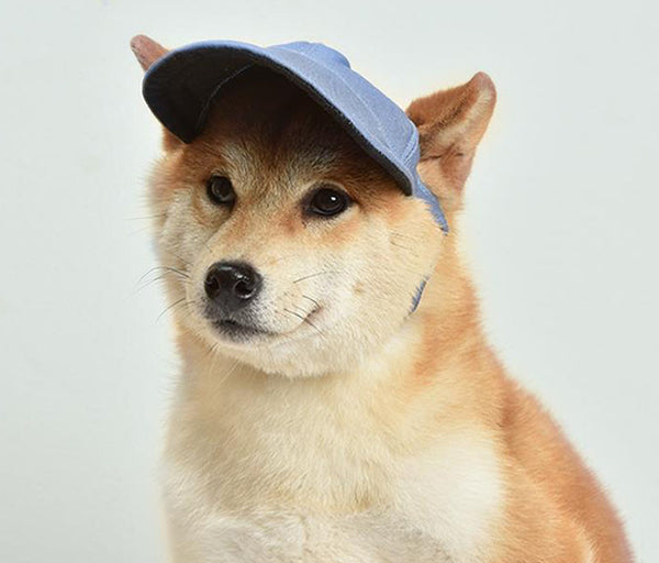 Pet Four Seasons Cap Sun Visor Baseball Cap