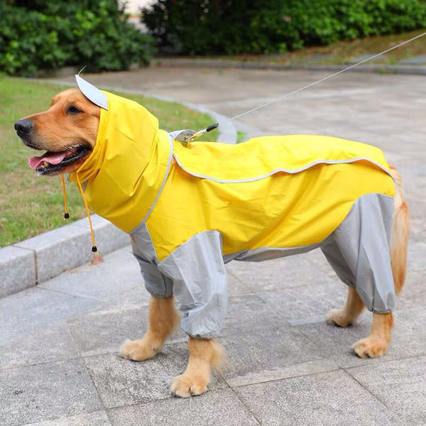 Big dog four feet raincoat