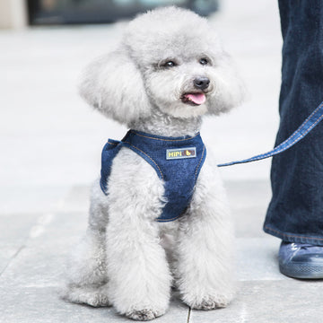 Puppy dog traction rope vest