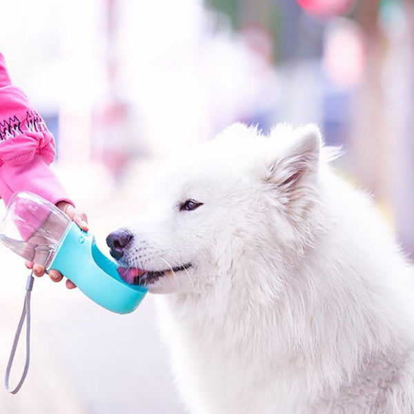 屋外の犬猫の水のボトル