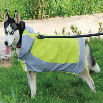 Double layer big dog raincoat