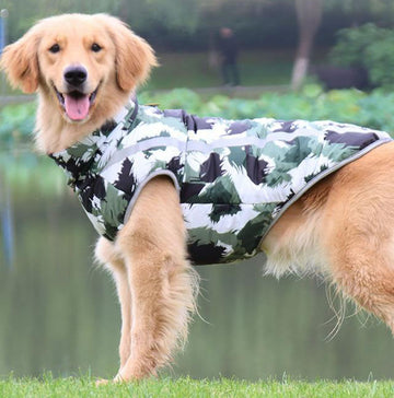 ropa para mascotas otoño e invierno nuevas chaquetas deportivas al aire libre, trajes a prueba de frío, impermeables impermeables, ropa de esquí