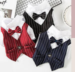 Pet dog suit summer thin teddy suit shirt suit wedding dress