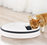 Pet six-hole intelligent timing and quantitative automatic feeder