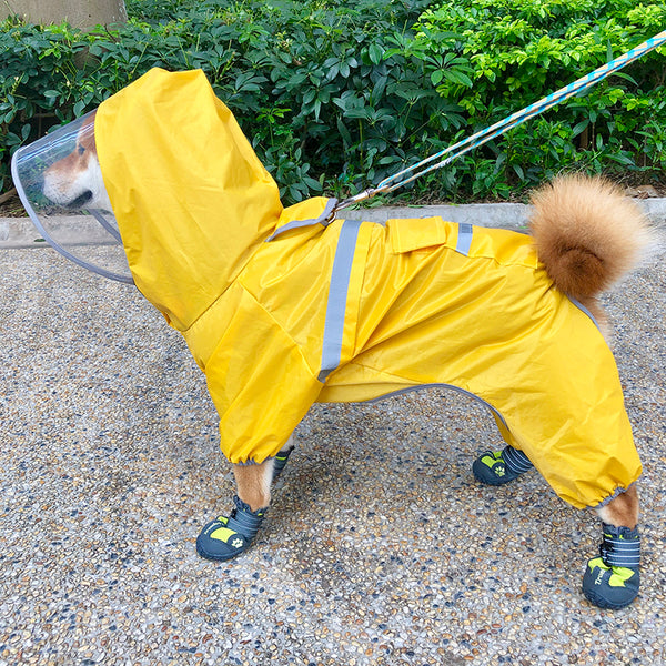 Shiba inu dog raincoat