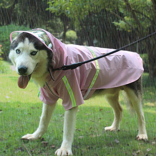 新しい中型および大型の犬用レインコート