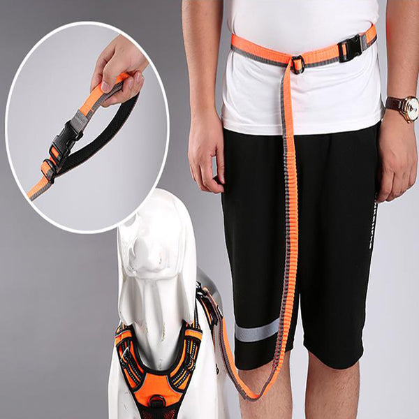 Multifunctional dog walking running traction rope