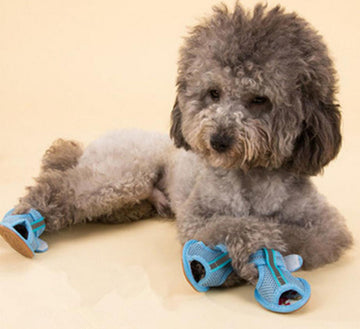 Pet shoes tendon bottom mesh sandals dog shoes dog sandals