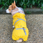 Corgi dog raincoat