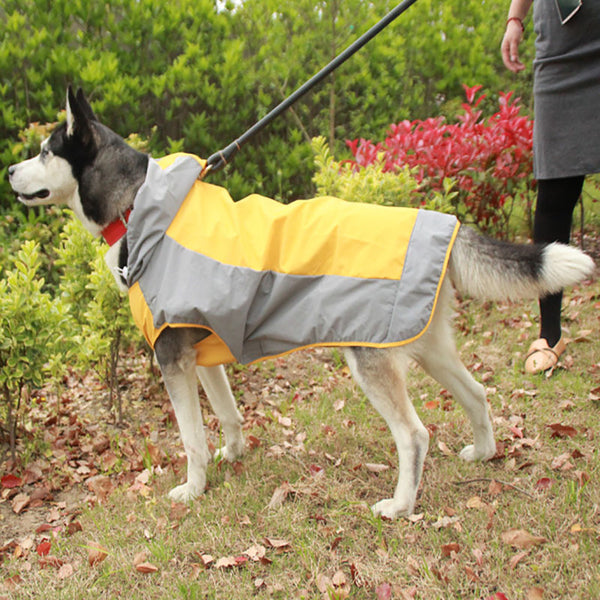 二重層の大きな犬のレインコート