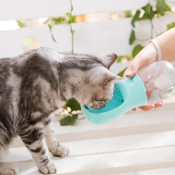 Botella de agua para gatos al aire libre