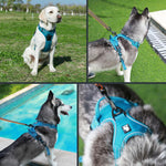 Large medium small dog vest chest strap