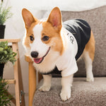 Vêtements Corgi automne et hiver