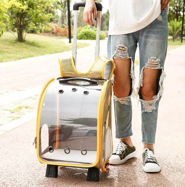 Chariot à dos pour animaux de compagnie