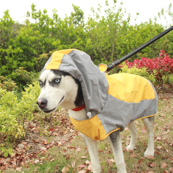 Double layer big dog raincoat