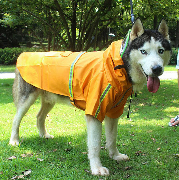 新しい中型および大型の犬用レインコート