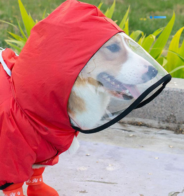 Corgi dog raincoat