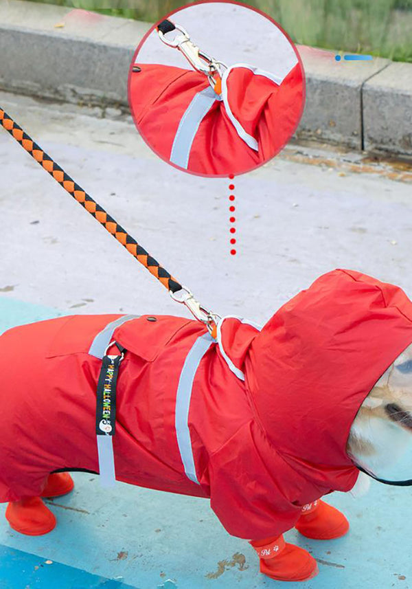 Corgi dog raincoat