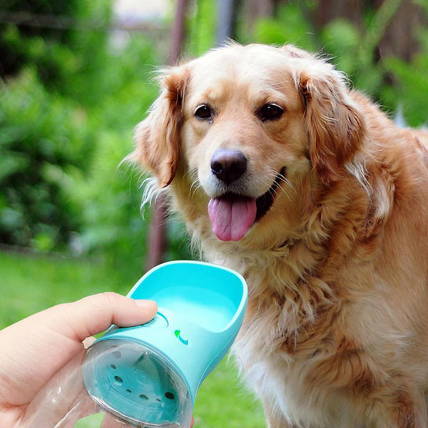 屋外の犬猫の水のボトル