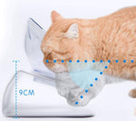 15°傾斜可調防滑寵物雙碗