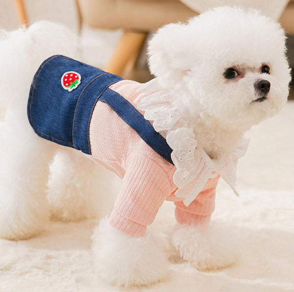 Robe d'automne et d'hiver de nouveau style pour les petits chiens