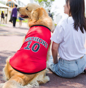 春のスタイル、薄いスタイル、中型から大型の犬の服、夏のスタイル、流行の真新しいペットの服