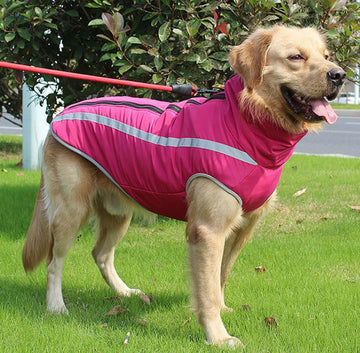 Autumn and winter new dog clothes reflective warm dog outdoor jacket