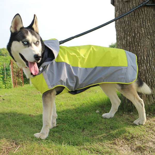 Double layer big dog raincoat