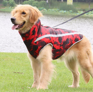 ropa para mascotas otoño e invierno nuevas chaquetas deportivas al aire libre, trajes a prueba de frío, impermeables impermeables, ropa de esquí