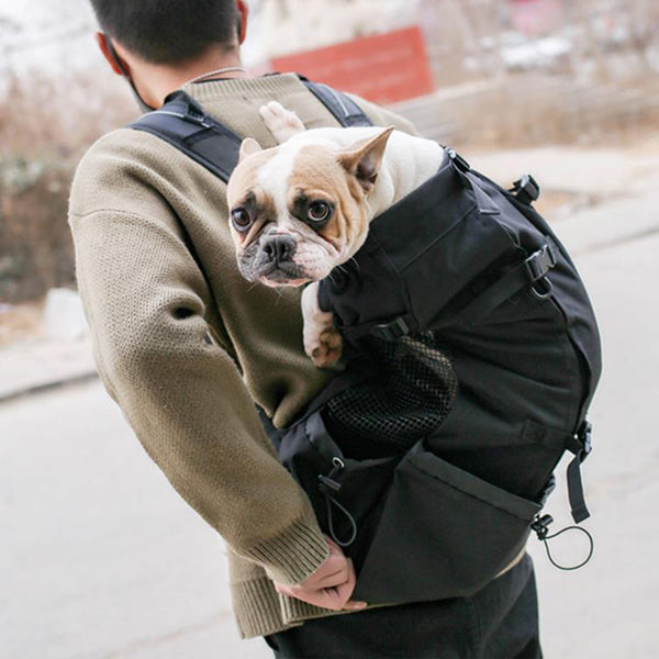 Sac à dos pour chien de petite et moyenne taille