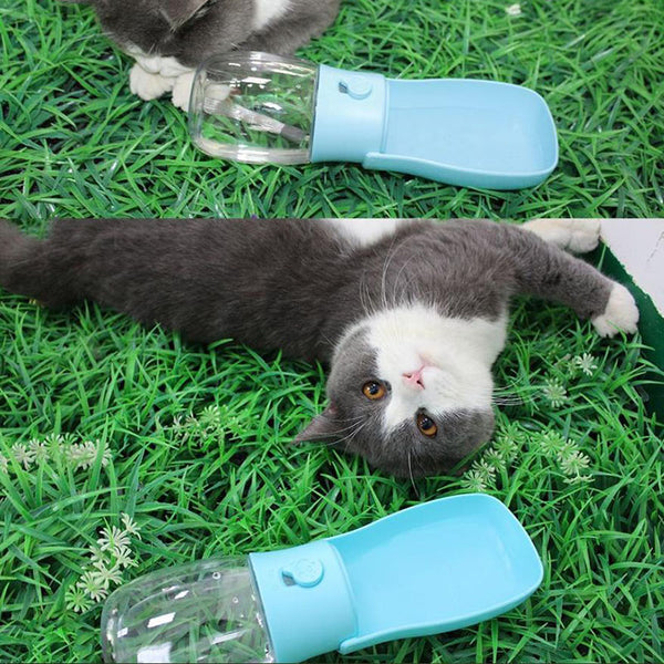 Folding pet water bottle