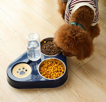 Three bowls of automatic drinking water for dogs and cats