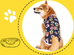 Vêtements pour chiens moyens et grands, printemps et automne, chemise d'été pour animaux de compagnie Labrador Shiba