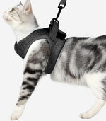 Cat chest harness traction rope