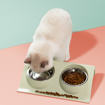 Oblique mouth pet eating drinking double bowl