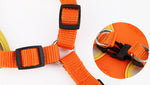 Reflective breathable leash for pet chest harness