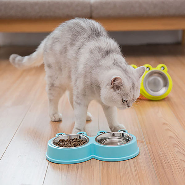 ダブルボウルを飲む子犬猫ごはん