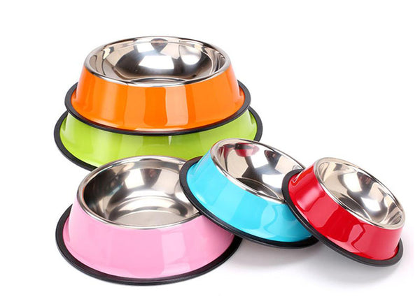 Painted stainless steel pet single bowl