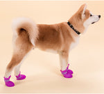 Bottes de pluie en silicone pour chien