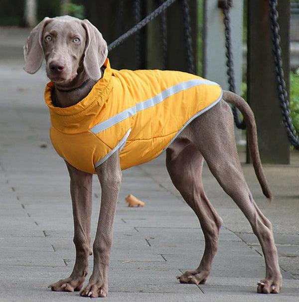 Automne et hiver nouveaux vêtements pour chiens veste extérieure réfléchissante pour chien chaud